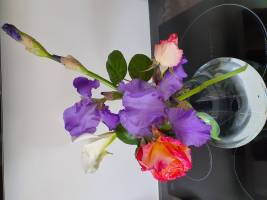 Christine LE GUYADEC - leguyadecc@gmail.com